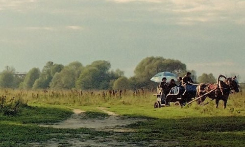 Buchcover: György Dalos: Geschichte der Russlanddeutschen (Ausschnitt)