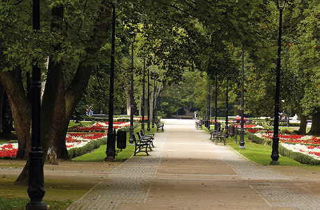 Eine der Hauptpromenaden im heutigen Kurpark von Swinemünde