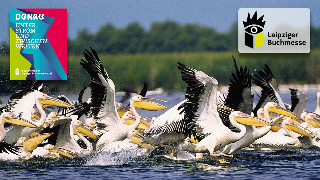 Schön – blau – rätselhaft