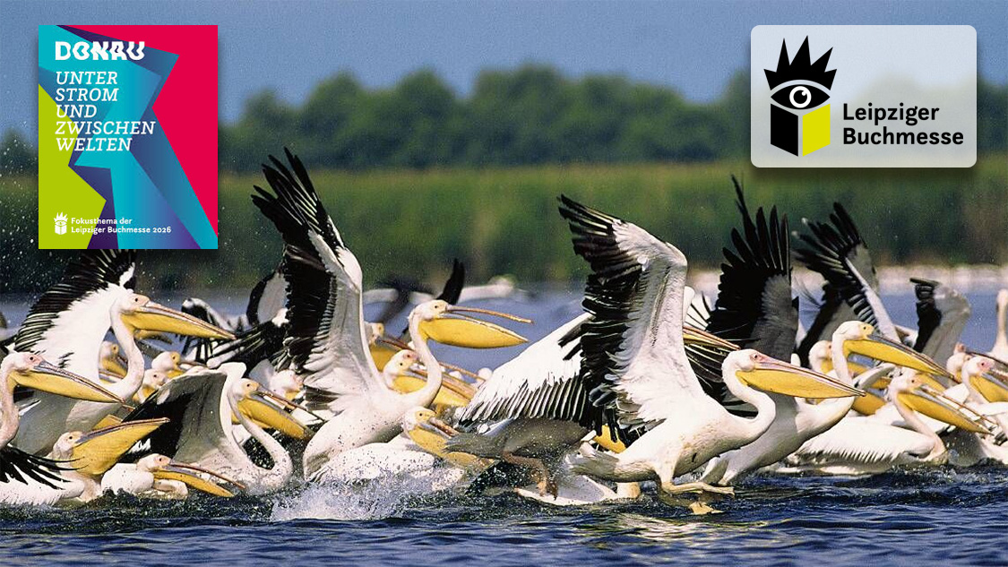 Schön – blau – rätselhaft