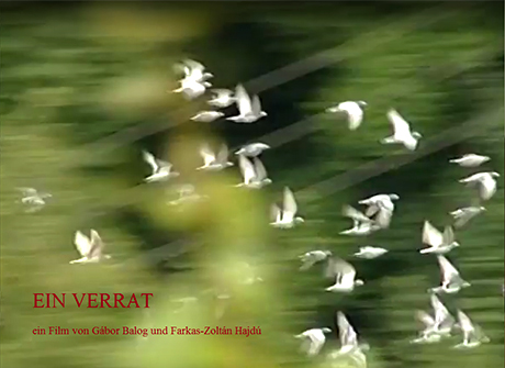 Ein Verrat Veranstaltungen De Deutsches Kulturforum Ostliches Europa E V