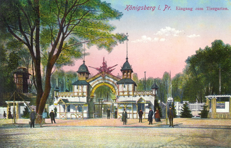 KK 1430 4 7 Mohnhaupt Zoos Koenigsberg 500x341