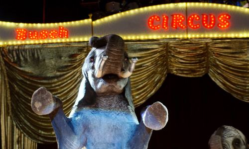 © IMAGO / David Heerde