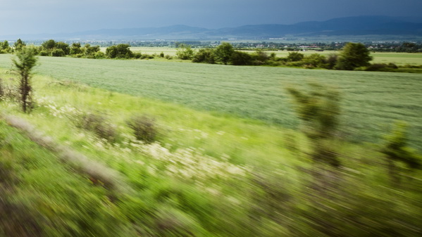 Den Kopf aus dem Fenster eines fahrenden Zuges lehnen und den Blick über die Landschaft schweifen lassen. Weil in Deutschland die meisten Züge klimatisiert sind, ist das oft nur noch in alten Zügen oder im östlichen Europa möglich. © ptnphotof/AdobeStock