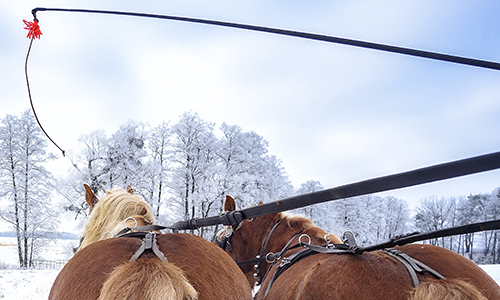 Auch heutzutage – in Zeiten von Klimaerwärmung und durchaus auch weniger schneereichen Wintern – ist eine Schlittenfahrt durch Masuren ein großer Spaß. Foto: © Cameris/Adobe Stock