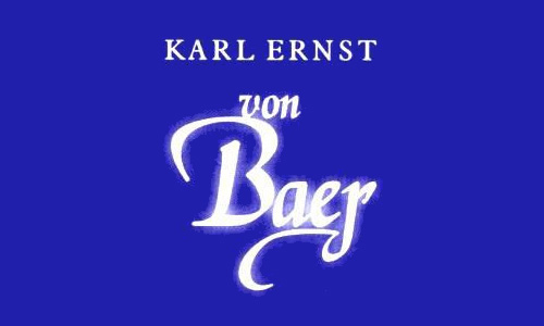 Logo: Karl-Ernst-von-Baer-Stiftung – Internationaler Deutschbaltischer Kulturfonds (Ausschnitt)