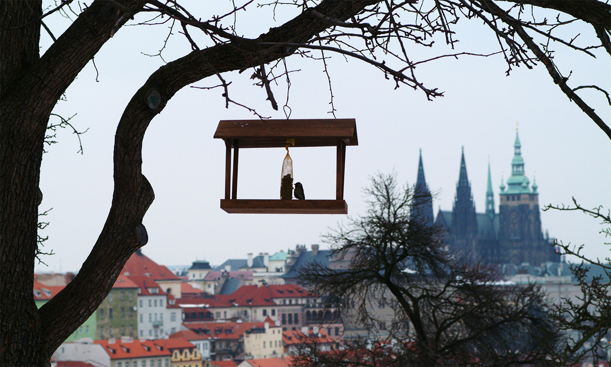 Prag, auf dem Laurenziberg auf der Kleinseite, Winter 2006. Foto: © Deutsches Kulturforum östliches Europa, A. Werner 