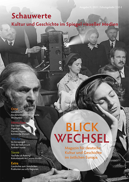 Titel: Blickwechsel 2021: Schauwerte. Kultur und Geschichte im Spiegel virtueller Medien