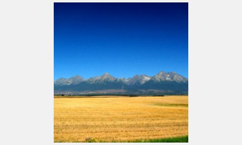 Blick auf die Hohe Tatra.