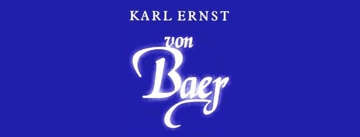 Logo: Karl-Ernst-von-Baer-Stiftung – Internationaler Deutschbaltischer Kulturfonds