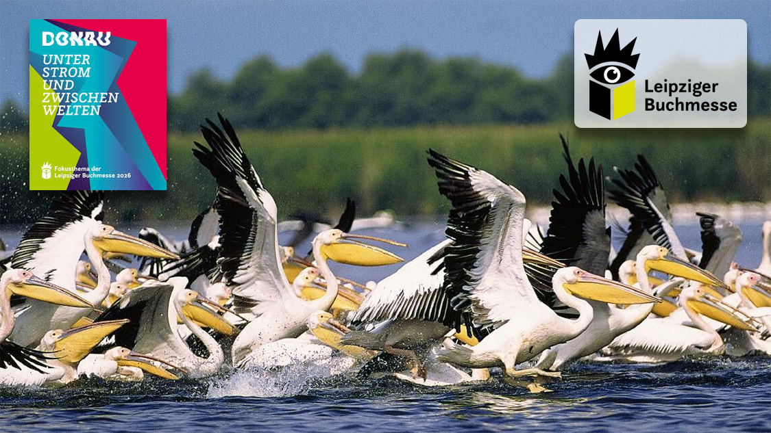 Schön – blau – rätselhaft - Veranstaltungen